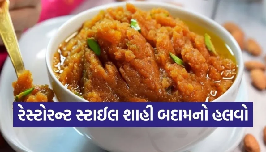 બદામનો હલવો ઘરે પણ ટેસ્ટી બનશે, અપનાવો આ ટિપ્સ 1 1766034282 Copy of Satya web temp 76.jpg.webp