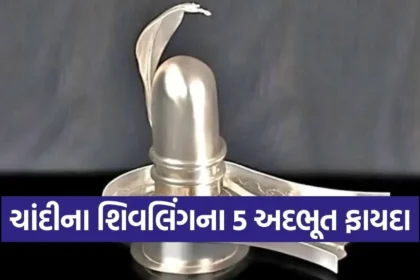 1766062419 Copy of Satya web temp 32 1.jpg.webp