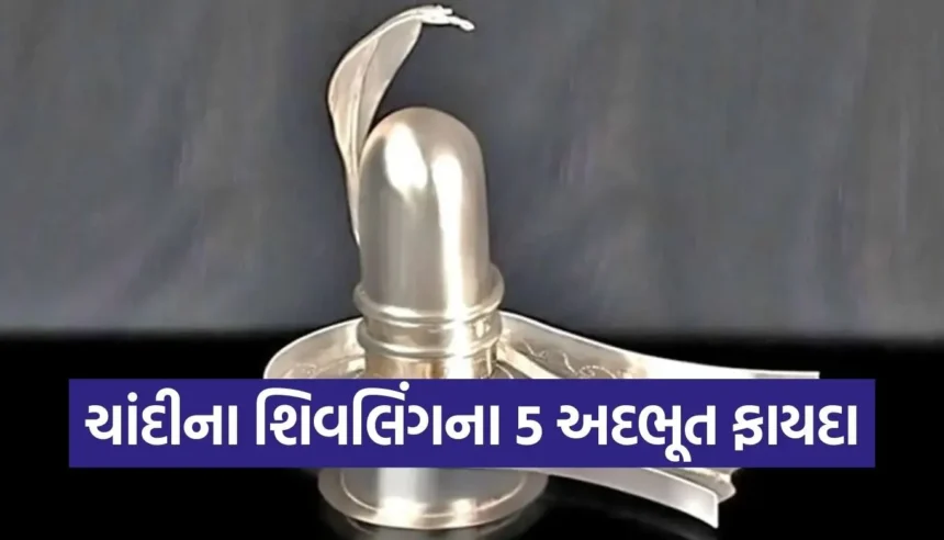 શું તમારા ઘરમાં ચાંદીનું શિવલિંગ છે? જાણો તેના અદભૂત લાભ 1 1766062419 Copy of Satya web temp 32 1.jpg.webp