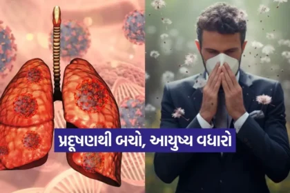 1766120857 kruti 10.jpg.webp