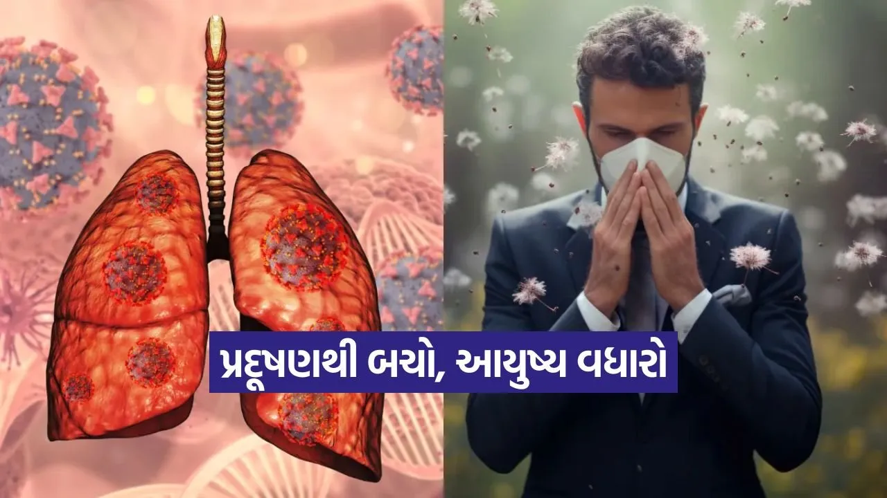 1766120857 kruti 10.jpg.webp