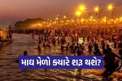 1766149056 Copy of Satya web temp 46.jpg.webp