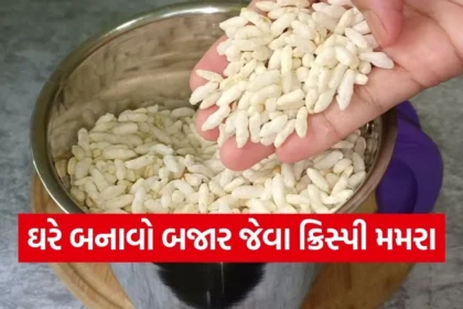 1766207073 Copy of Satya web temp 75.jpg.webp