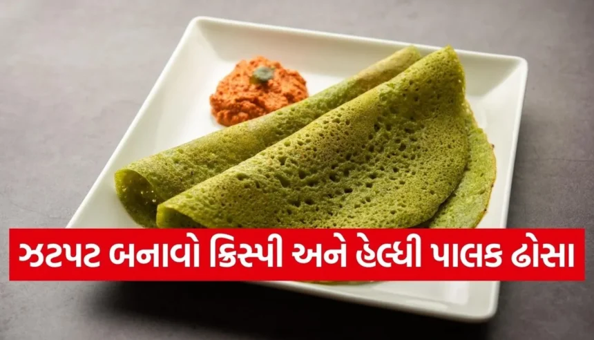 1766207496 Copy of Satya web temp 57.jpg.webp