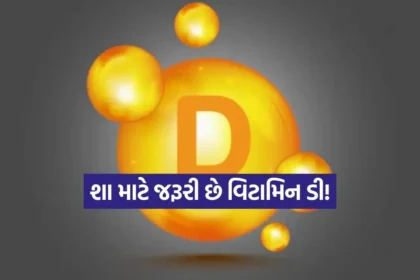 1766236048 Dharmishtha 3.jpg.webp