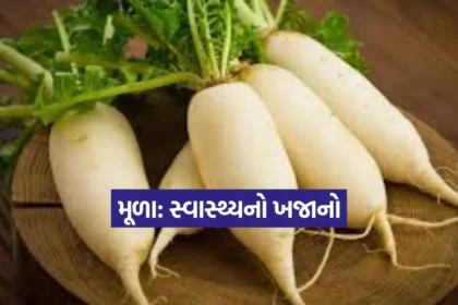 1766236557 Dharmishtha.jpg.webp