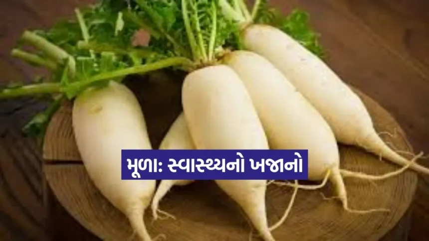 શિયાળાનું સુપરફૂડ: જાણો મૂળા ખાવાથી શરીરના કયા ૫ અંગોને થાય છે સીધો ફાયદો! 1 1766236557 Dharmishtha.jpg.webp