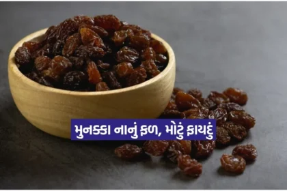 1766409572 Dharmishtha 47.jpg.webp