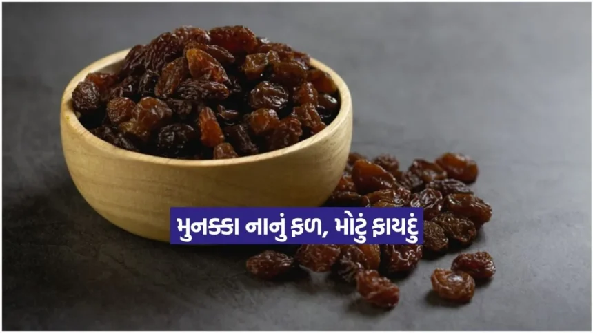 1766409572 Dharmishtha 47.jpg.webp