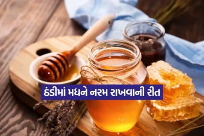 1766409755 Dharmishtha 49.jpg.webp