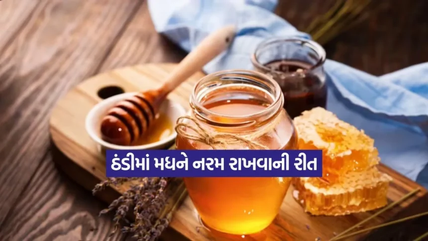 1766409755 Dharmishtha 49.jpg.webp