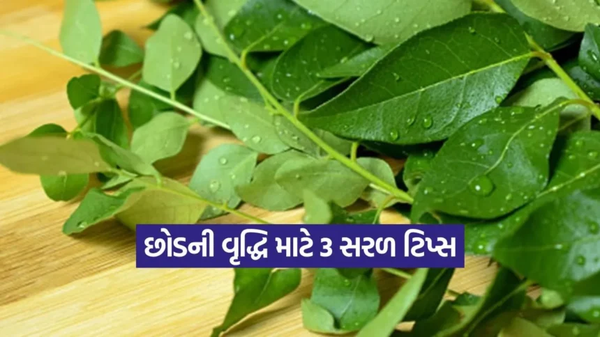 1766496371 kruti 10.jpg.webp