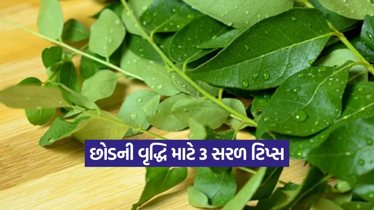 1766496371 kruti 10.jpg.webp