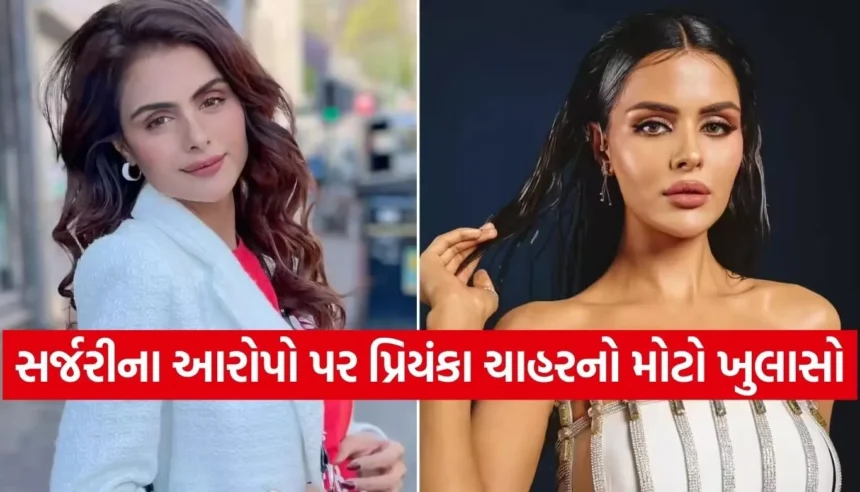 શું ‘નાગિન 7’ માટે પ્રિયંકાએ કરાવી પ્લાસ્ટિક સર્જરી? અભિનેત્રીએ પહેલીવાર મૌન તોડીને જણાવ્યું સત્ય 1 1766697763 Copy of Satya web temp 18.jpg.webp