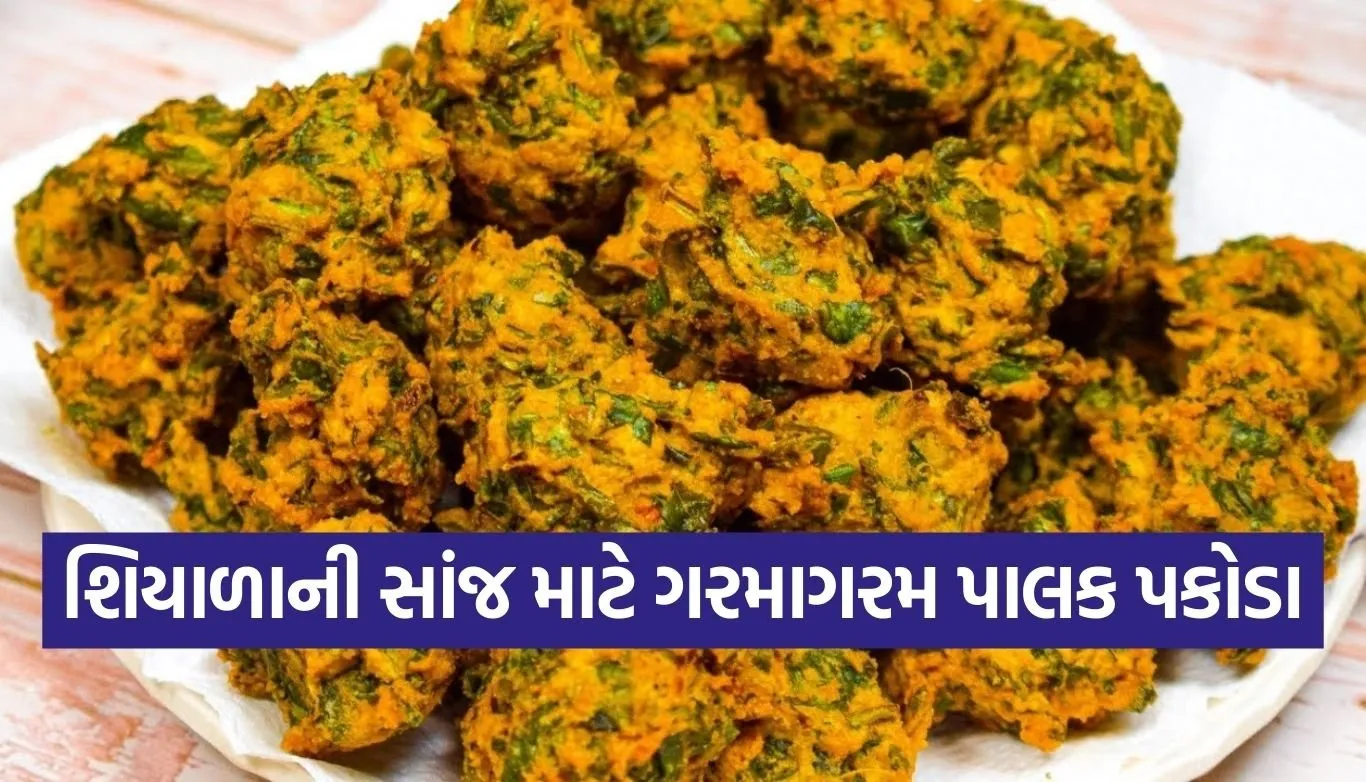 1766698253 Copy of Satya web temp 36 1.jpg.webp