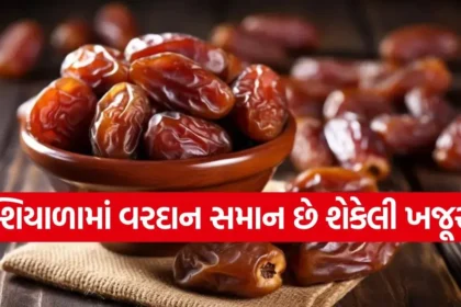 1766727159 dharmishtha 1 2.jpg.webp