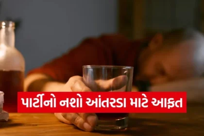 1766871666 dharmishtha 1 74.jpg.webp