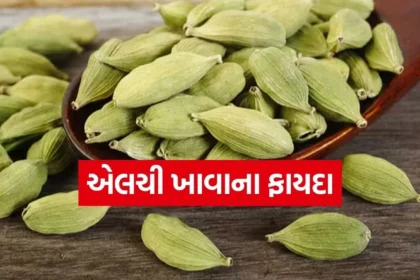 1766958398 Copy of Satya web temp 64.jpg.webp