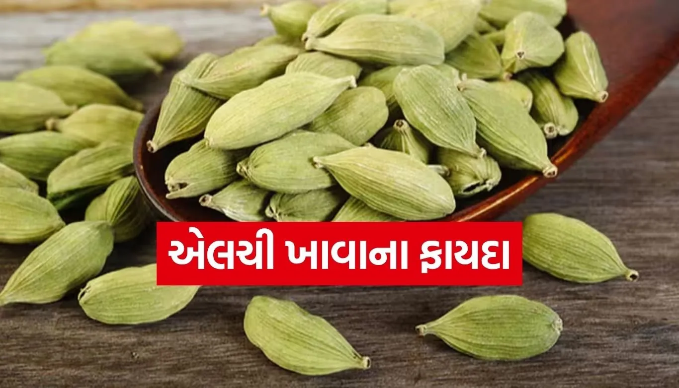 1766958398 Copy of Satya web temp 64.jpg.webp