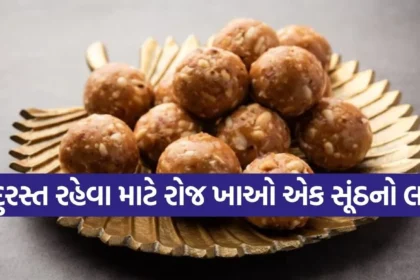 1767074156 Copy of Satya web temp 11.jpg.webp