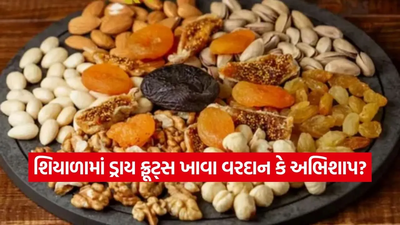 1767160956 dharmishtha 1 2.jpg.webp