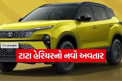 1767190885 dharmishtha 1 41.jpg.webp