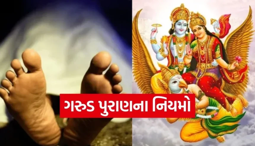Copy of Satya web temp 10.jpg.webp