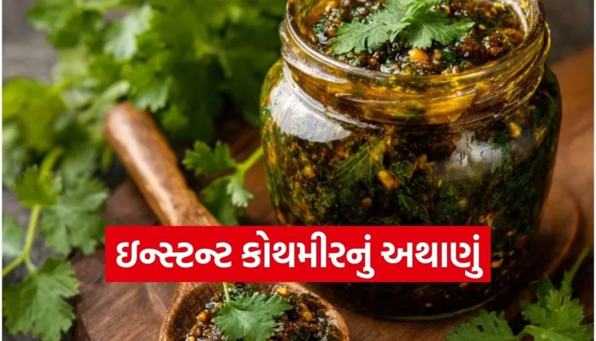 ટ્રેડિશનલ સ્વાદવાળું ચટાકેદાર અને સુગંધિત ઇન્સ્ટન્ટ કોથમીરનું અથાણું 1 Copy of Satya web temp 2025 12 11T221930.274.jpg.webp