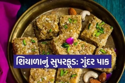 Copy of Satya web temp 2025 12 20T184420.442.jpg.webp