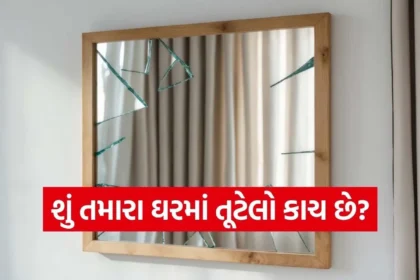 Copy of Satya web temp 2025 12 20T190949.577.jpg.webp