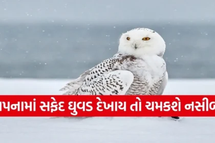 Copy of Satya web temp 2025 12 21T094506.712.jpg.webp