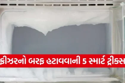 Copy of Satya web temp 2025 12 23T143736.226.jpg.webp