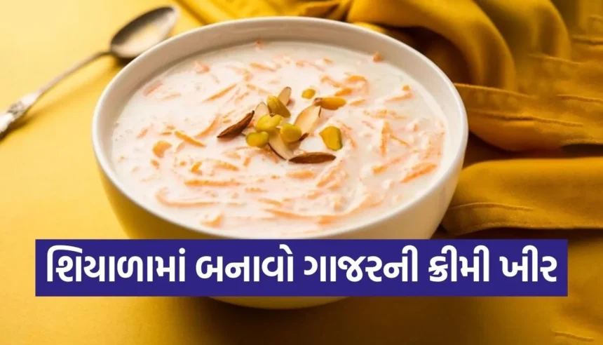 ગાજરનો હલવો તો બહુ ખાધો હશે, આ શિયાળામાં ટ્રાય કરો ગાજરની ક્રીમી ખીર 1 Copy of Satya web temp 2025 12 23T150039.022.jpg.webp