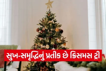 Copy of Satya web temp 2025 12 24T102137.074.jpg.webp