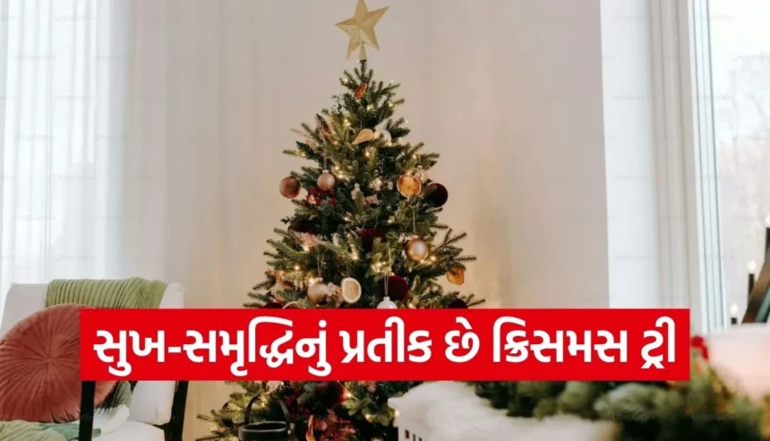 ક્રિસમસ ટ્રી ચમકાવશે તમારું નસીબ! જાણો ઘરમાં તેને રાખવાની સાચી દિશા અને વાસ્તુ નિયમો 1 Copy of Satya web temp 2025 12 24T102137.074.jpg.webp