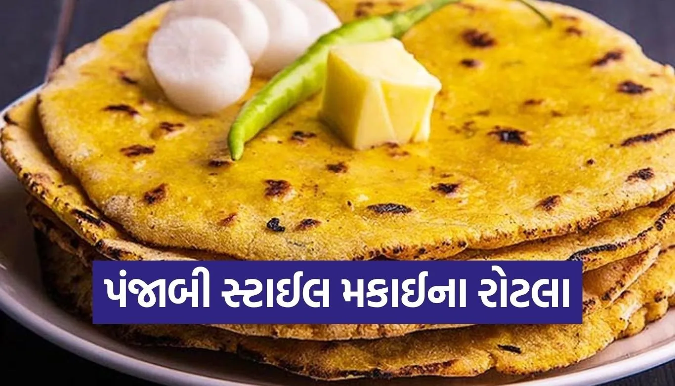 Copy of Satya web temp 2025 12 27T124042.150.jpg.webp