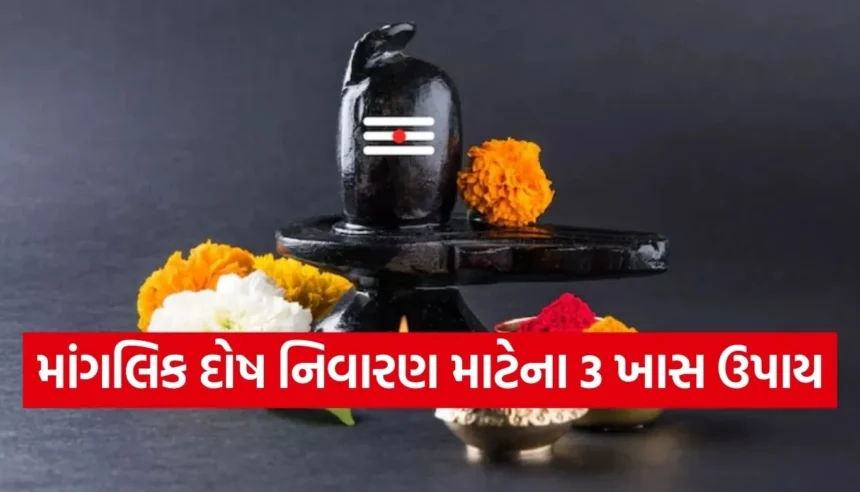 Copy of Satya web temp 2025 12 28T085626.049.jpg.webp