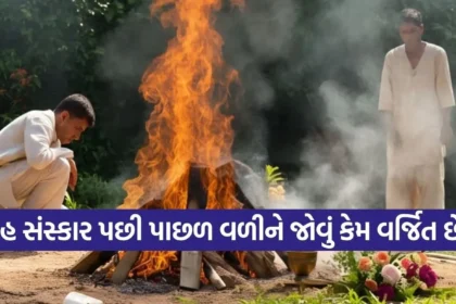 Copy of Satya web temp 2025 12 29T144650.015.jpg.webp