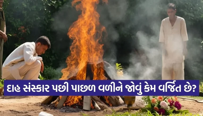 Copy of Satya web temp 2025 12 29T144650.015.jpg.webp