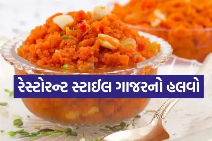 Copy of Satya web temp 24.jpg.webp