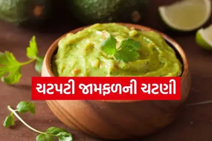 Copy of Satya web temp 3.jpg.webp