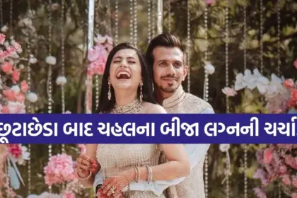 Copy of Satya web temp 48.jpg.webp