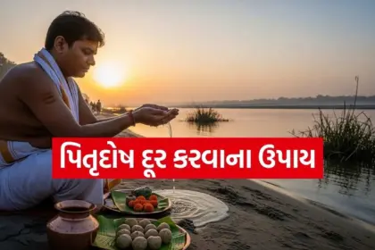 Copy of Satya web temp 78.jpg.webp