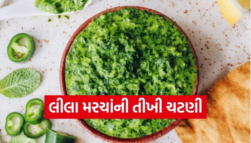 ટેસ્ટી લીલા મરચાની તીખી ચટણી બનાવવાની સરળ રેસીપી 1 Copy of Satya web temp 81.jpg.webp