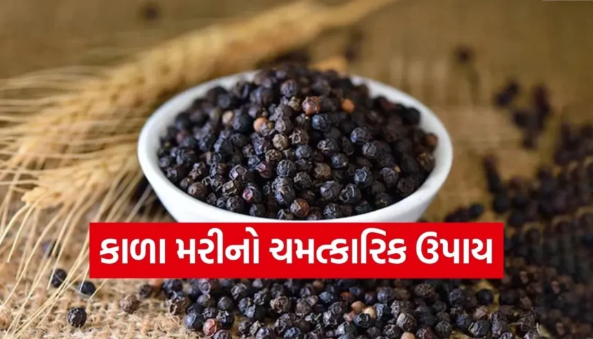 ઓશીકા નીચે કાળા મરી રાખીને સૂવાના 4 ચમત્કારિક ફાયદા, જાણીને આશ્ચર્ય થશે 1 Copy of Satya web temp 92.jpg.webp