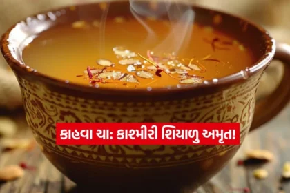 Dharmishtha 16.jpg.webp