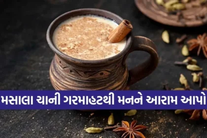 Dharmishtha 17.jpg.webp