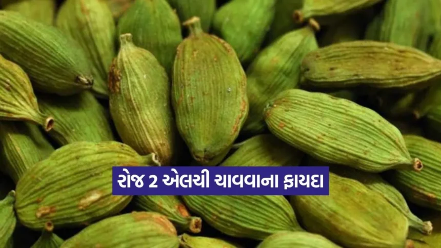દરરોજ ફક્ત 2 લીલી એલચી ચાવવાથી દૂર કરો આ આરોગ્ય સમસ્યાઓ! 1 Dharmishtha 2025 12 29T172047.938.jpg.webp