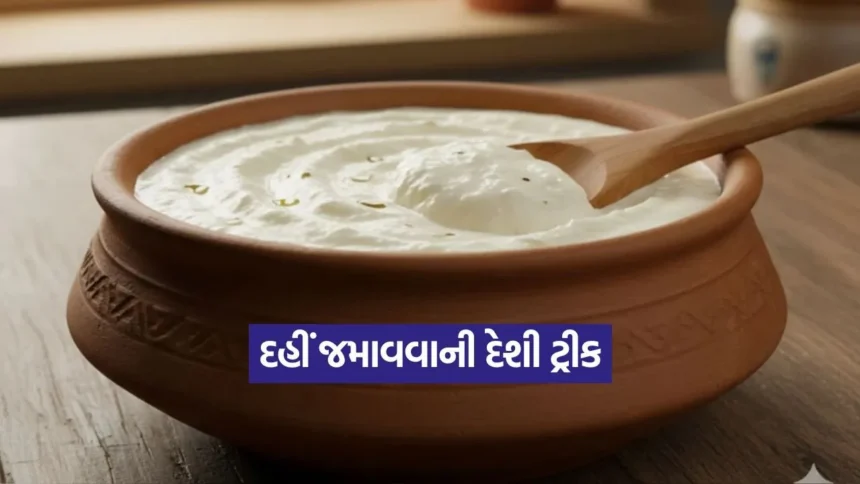 શિયાળામાં દહીં જમાવવાની અનોખી ટ્રીક: લીલી મરચીની મદદથી બનાવો ક્રીમી અને ઘટ્ટ દહીં 1 Dharmishtha 2025 12 30T172756.184.jpg.webp