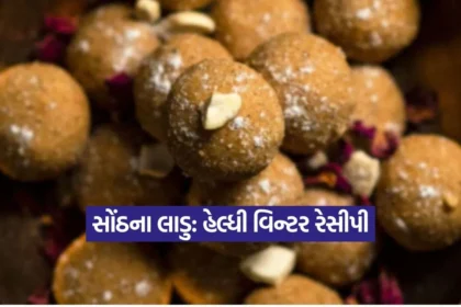 Dharmishtha 2025 12 30T173534.886.jpg.webp